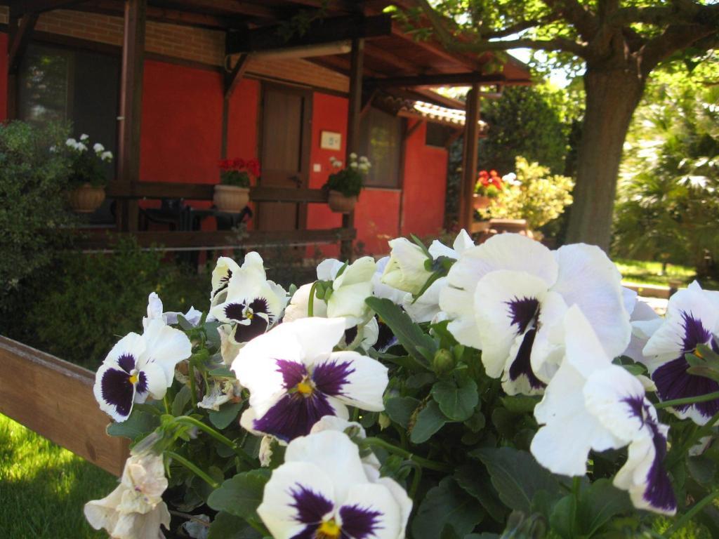 Country house Country Apartments Castel di Decima